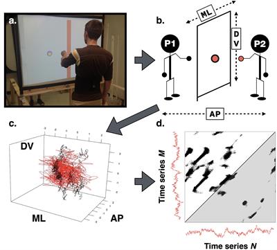 The Stance Leads the Dance: The Emergence of Role in a Joint Supra-Postural Task